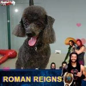 Meet your Posher, Christy c